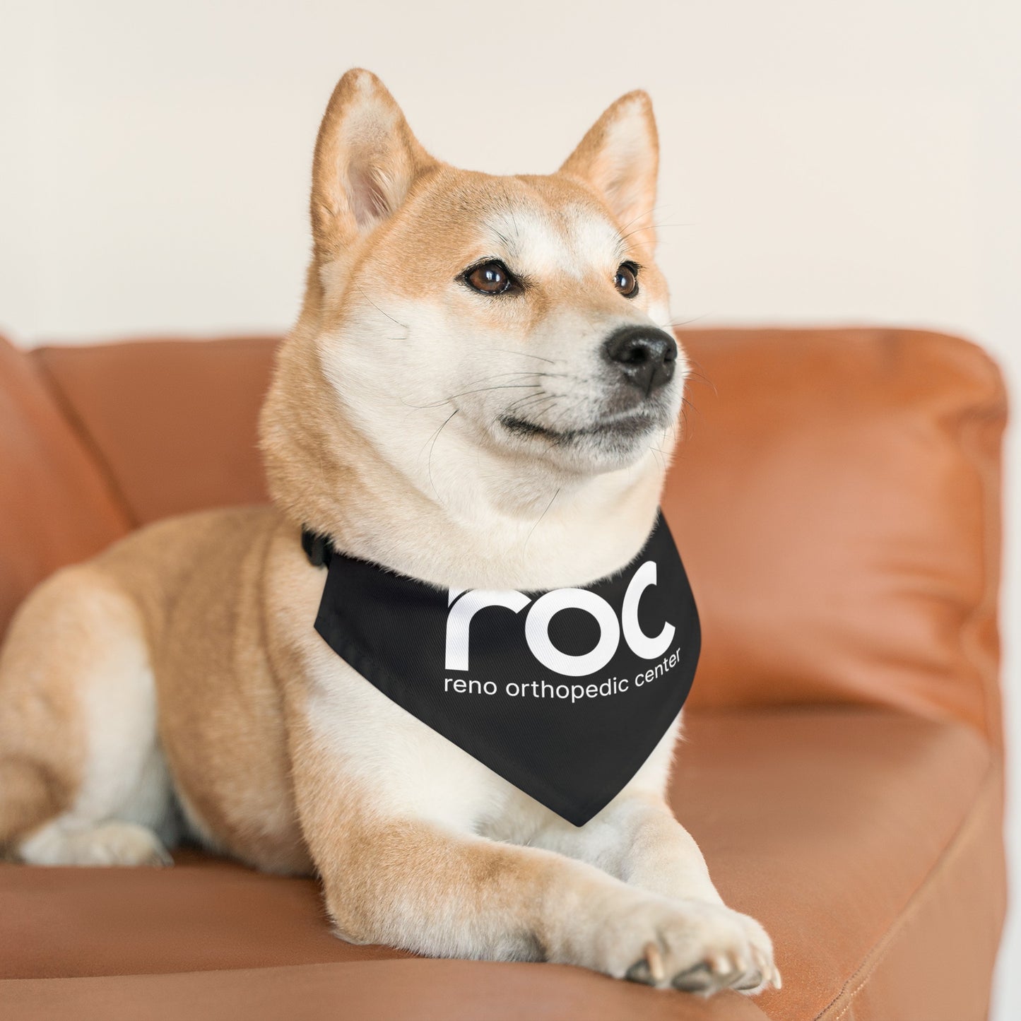 Pet Bandana Collar
