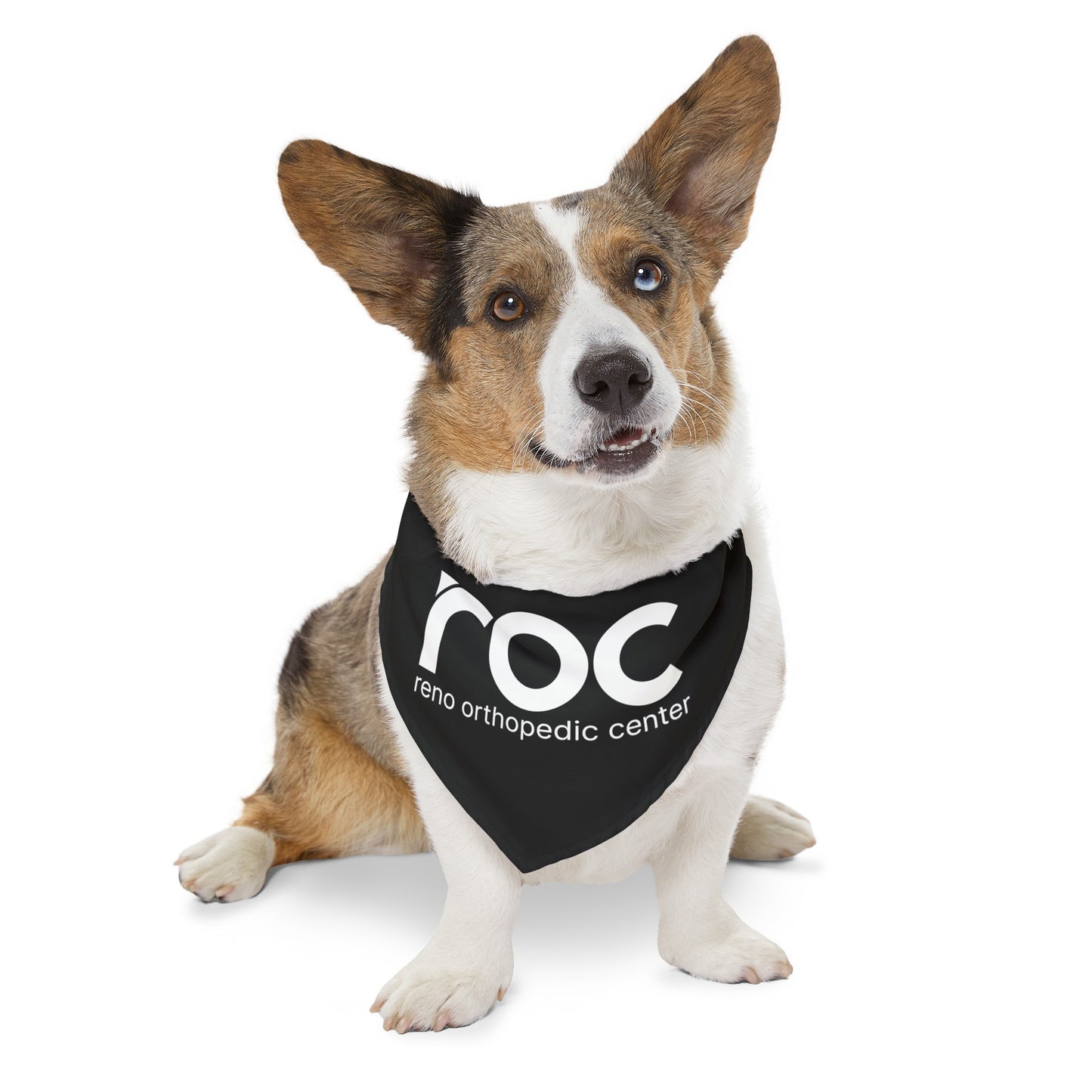 Pet Bandana Collar